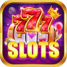 5637bet