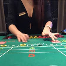 5637bet